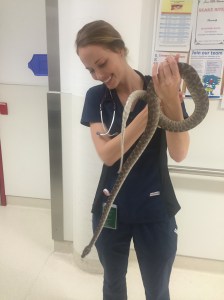 Felicia Cox photo for blog post